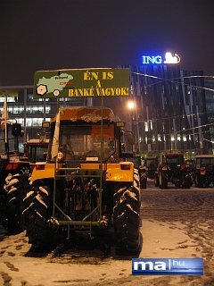 Egy szamár is jobban csinálná az agrárpolitikát? - a képre kattintva olvashat róla